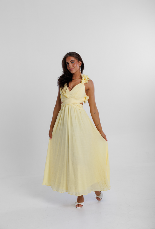 Ruffle maxi kjóll (petite)